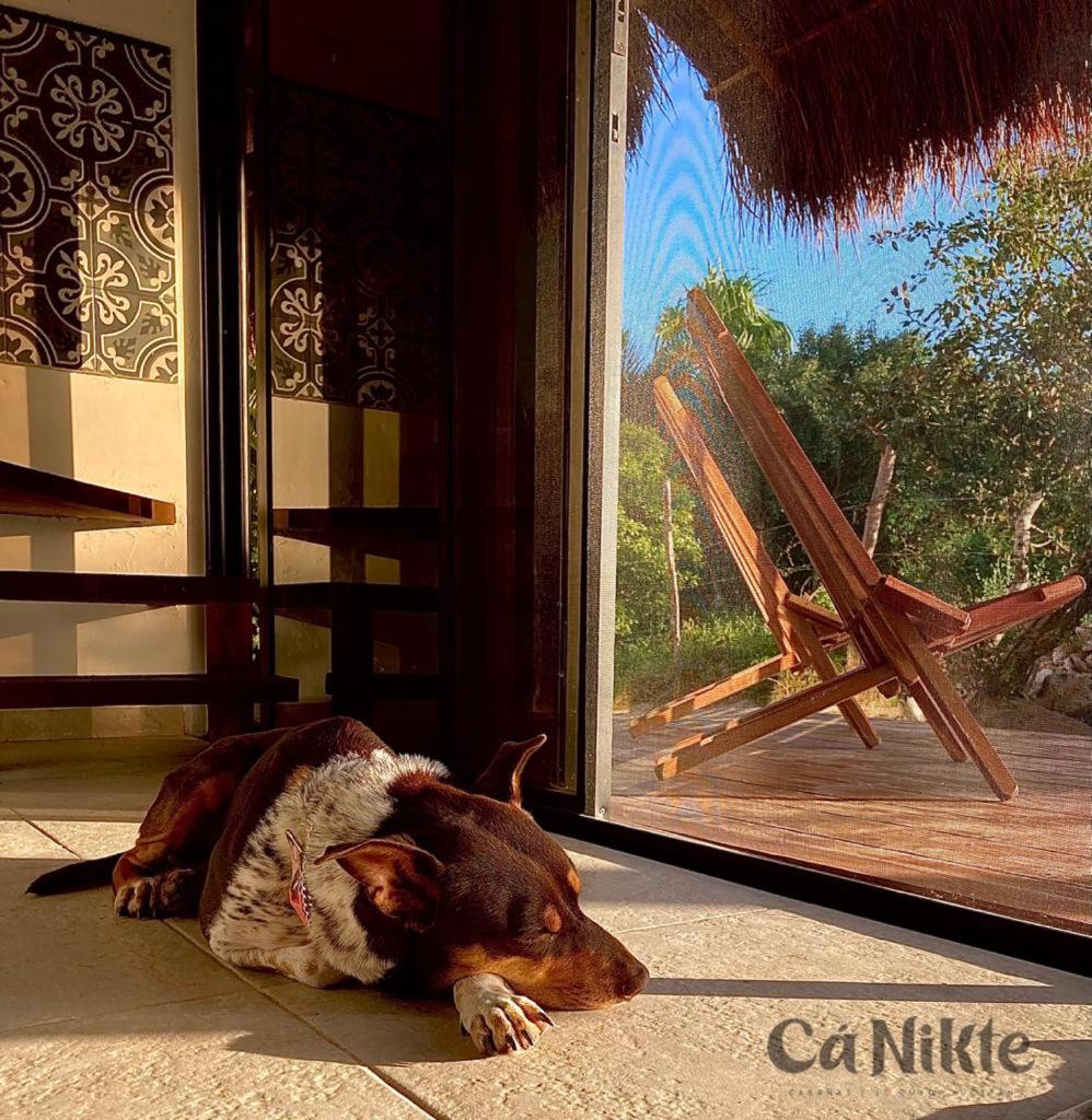 Ca Nikte Cabanas El Cuyo Exteriör bild