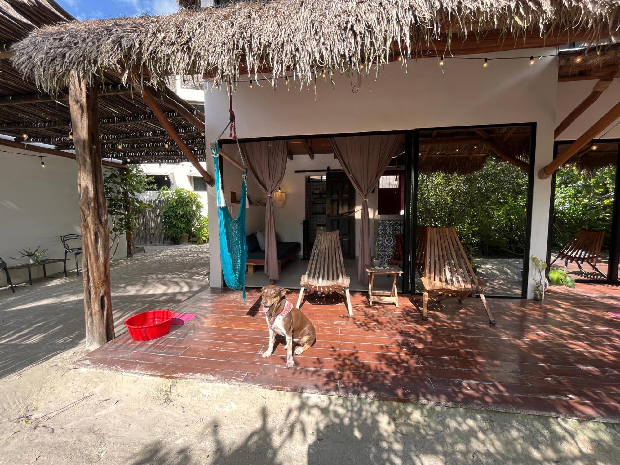Ca Nikte Cabanas El Cuyo Exteriör bild